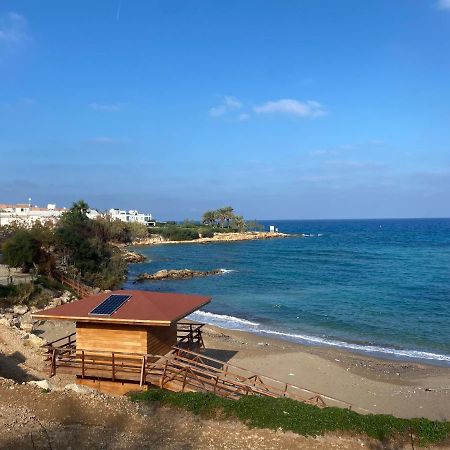 Olive Tree Villa - Протарас Екстер'єр фото