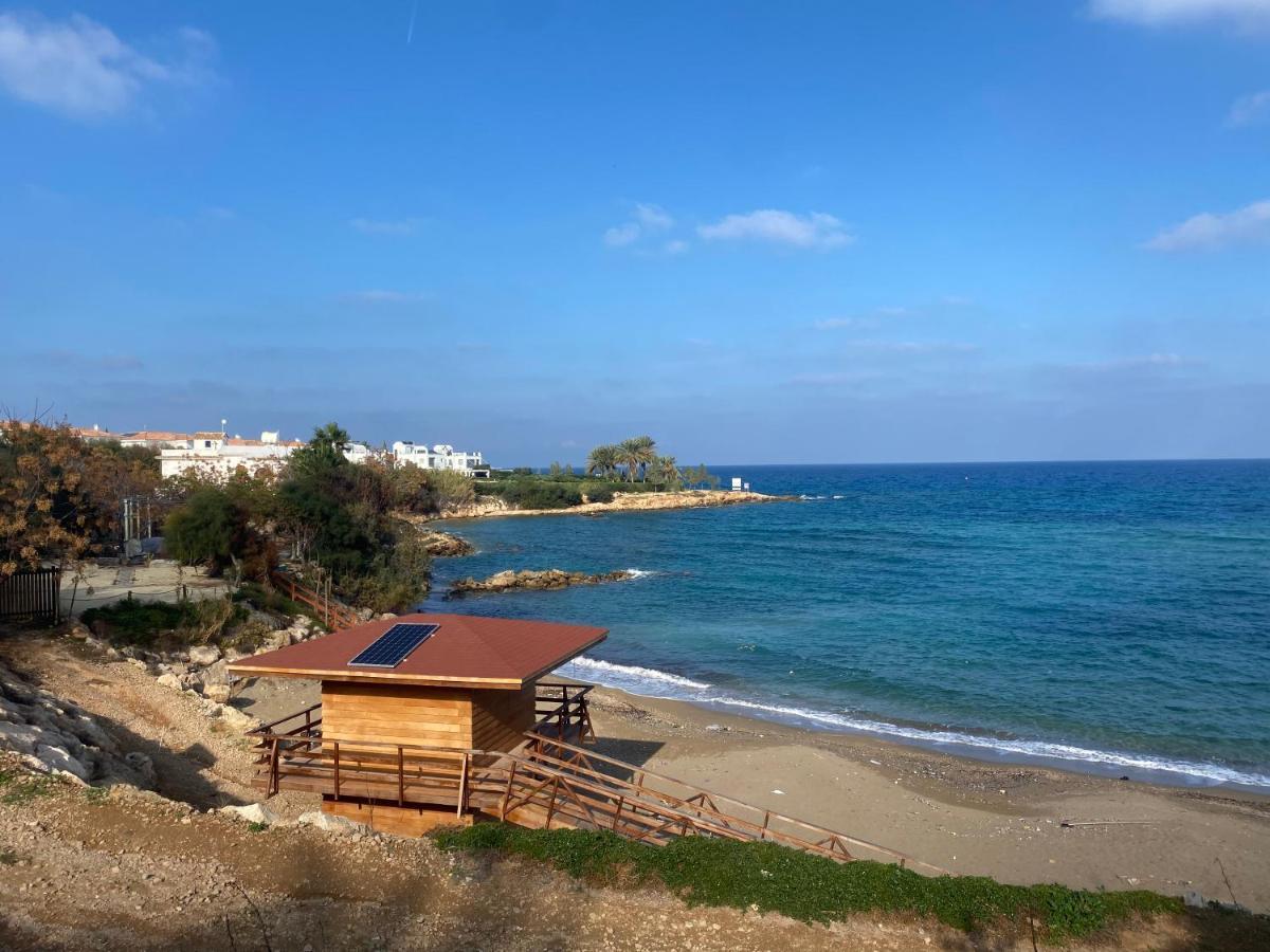 Olive Tree Villa - Протарас Екстер'єр фото